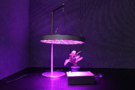 Horticultural Lighting Conference 3