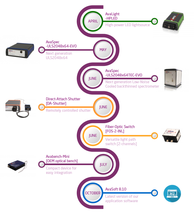 2019 in Review